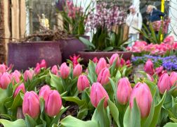 Fruehling In Der Goethe Galerie  Februar 2026 15